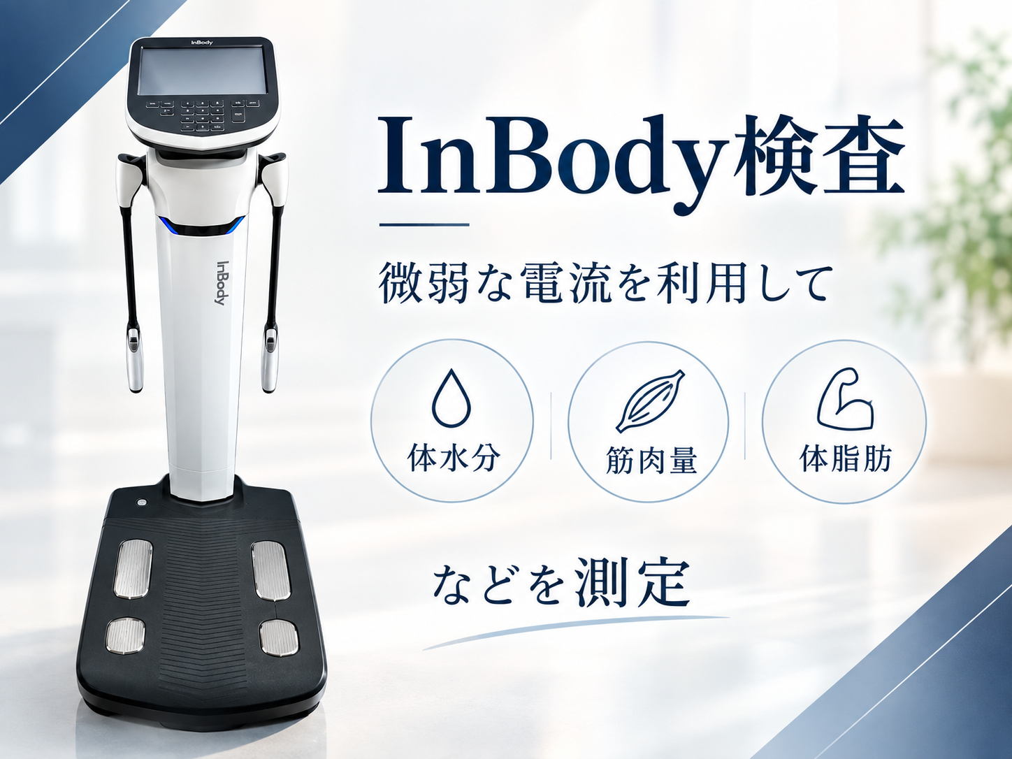 Inbody検査